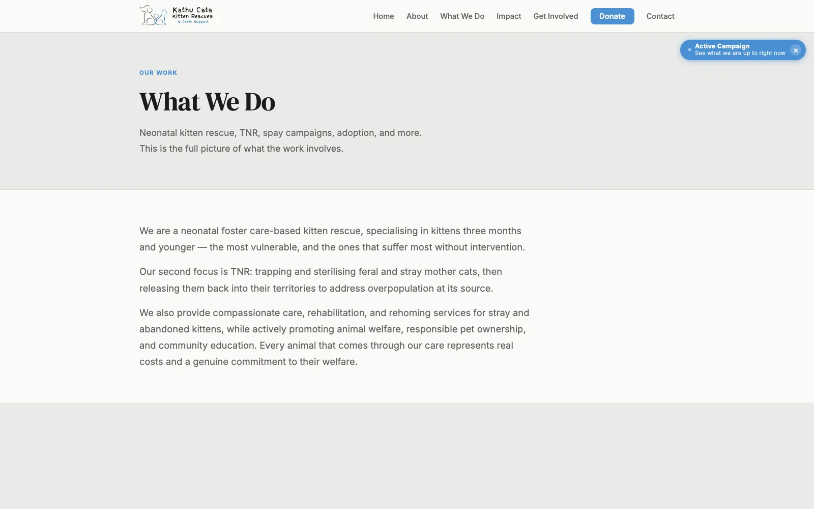 What the organisation does